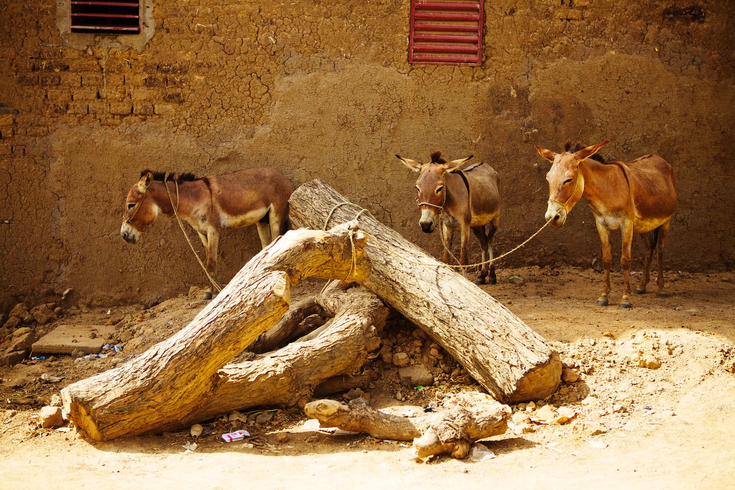 The Dakar Orphans