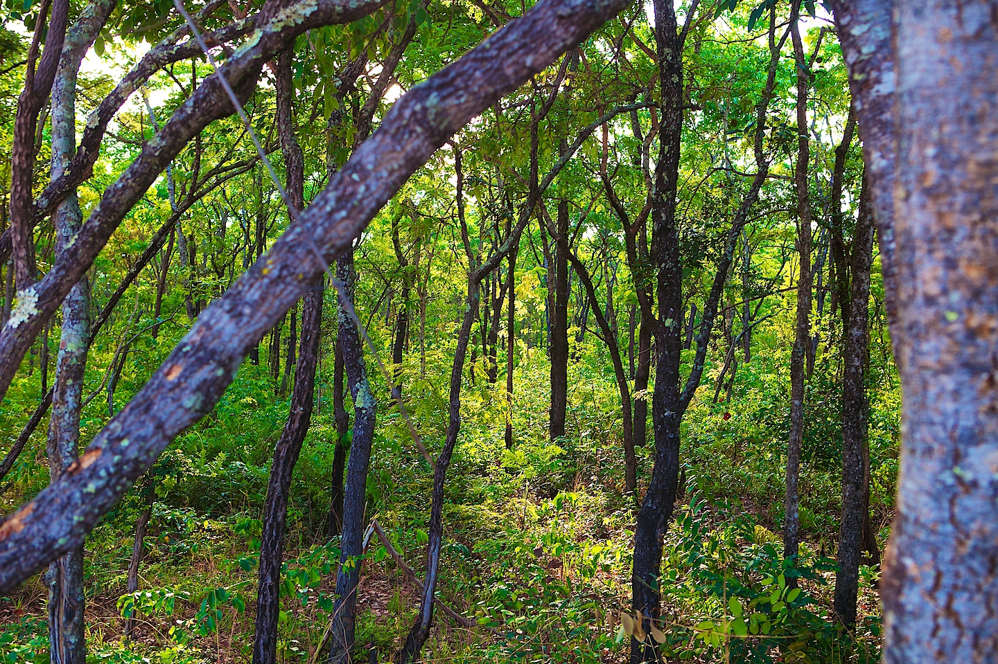 Discovering Angola