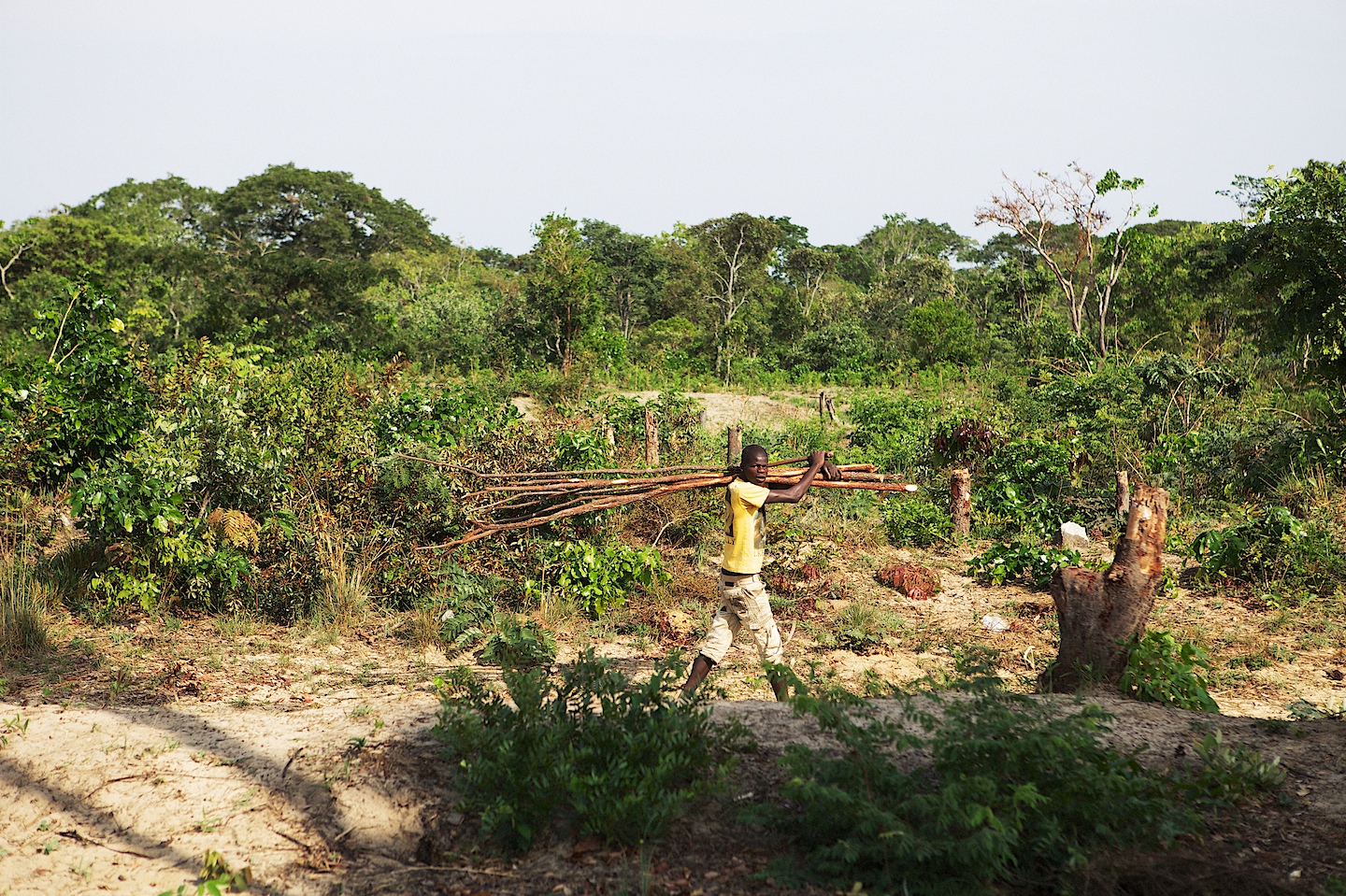 Discovering Angola