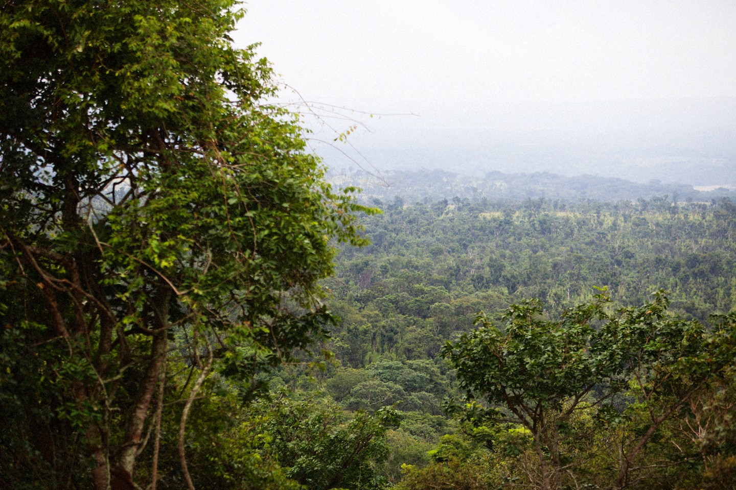 The new road: Lunda Norte